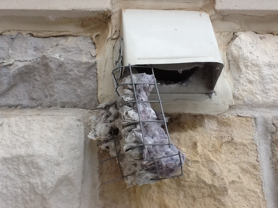 vent dryer screens end why should