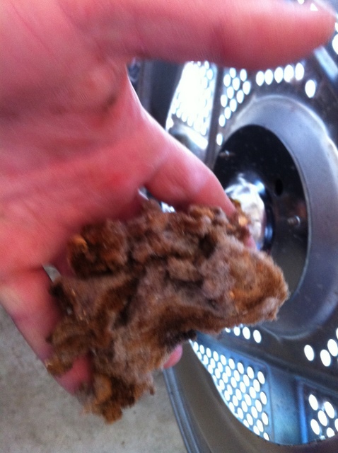 burnt lint in the dryer
