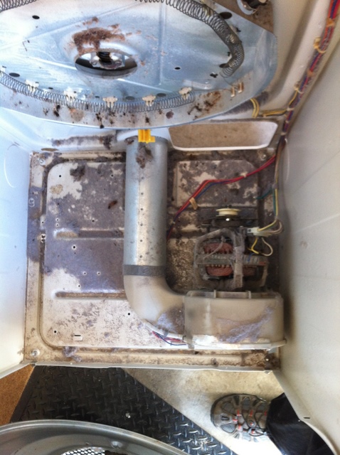 dryer cleaning to remove lint build up