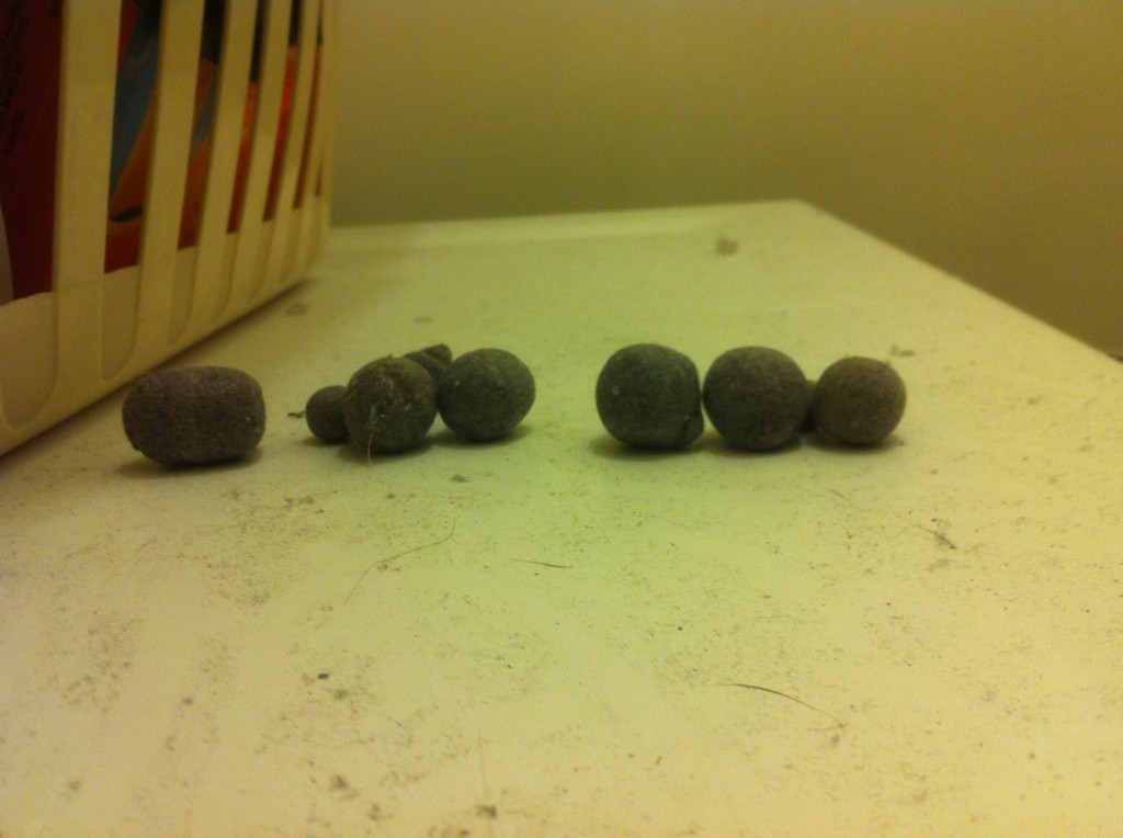 dryer balls dryer