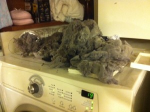 Lint build up can lead to a burning smell from inside dryer